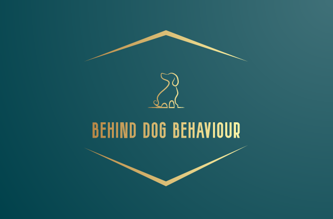 Behind Dog Behaviour